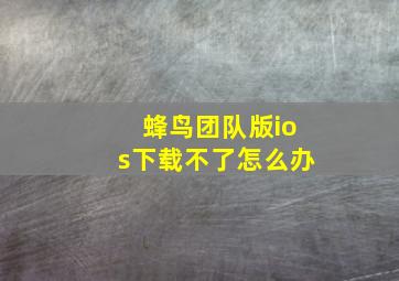 蜂鸟团队版ios下载不了怎么办