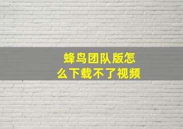 蜂鸟团队版怎么下载不了视频