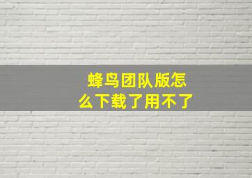 蜂鸟团队版怎么下载了用不了