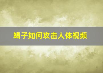 蝎子如何攻击人体视频