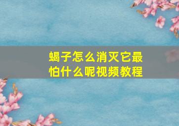 蝎子怎么消灭它最怕什么呢视频教程