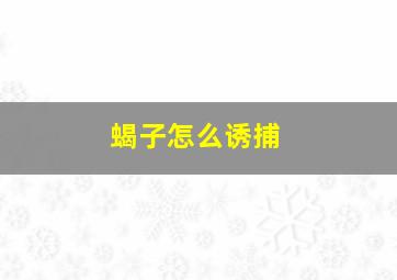 蝎子怎么诱捕