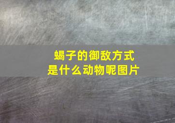 蝎子的御敌方式是什么动物呢图片