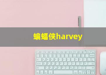 蝙蝠侠harvey