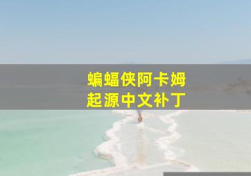 蝙蝠侠阿卡姆起源中文补丁