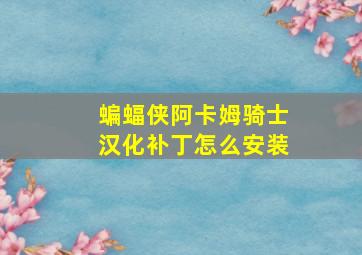 蝙蝠侠阿卡姆骑士汉化补丁怎么安装