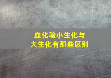 血化验小生化与大生化有那些区别