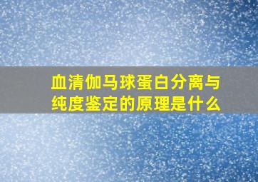 血清伽马球蛋白分离与纯度鉴定的原理是什么