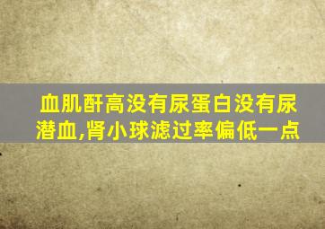 血肌酐高没有尿蛋白没有尿潜血,肾小球滤过率偏低一点