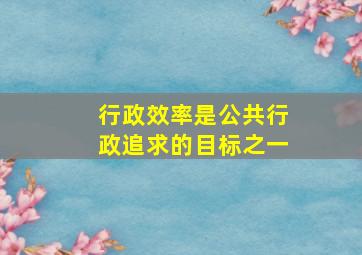 行政效率是公共行政追求的目标之一