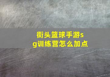 街头篮球手游sg训练营怎么加点