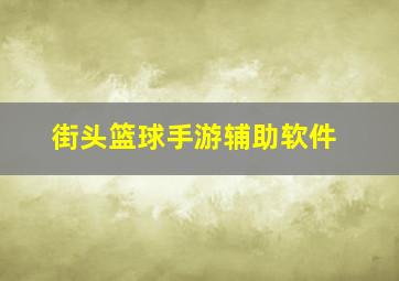 街头篮球手游辅助软件