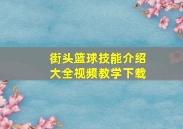 街头篮球技能介绍大全视频教学下载