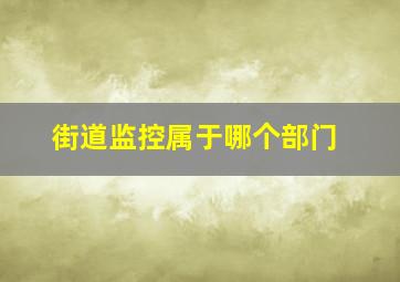 街道监控属于哪个部门