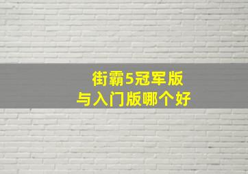 街霸5冠军版与入门版哪个好