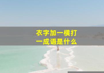 衣字加一横打一成语是什么