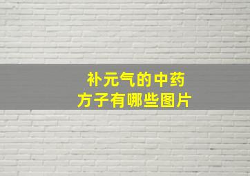 补元气的中药方子有哪些图片