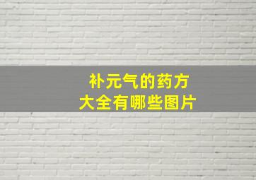 补元气的药方大全有哪些图片