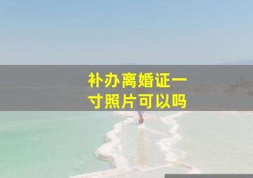 补办离婚证一寸照片可以吗