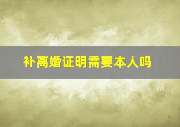 补离婚证明需要本人吗