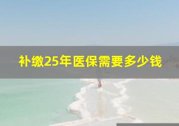 补缴25年医保需要多少钱