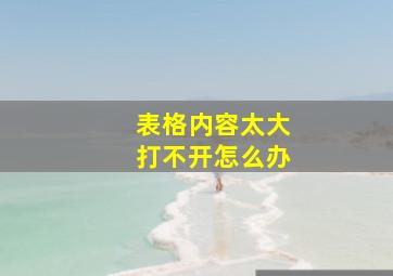 表格内容太大打不开怎么办