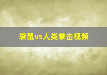 袋鼠vs人类拳击视频