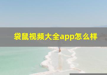 袋鼠视频大全app怎么样