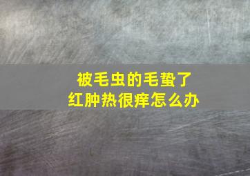 被毛虫的毛蛰了红肿热很痒怎么办