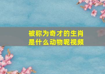 被称为奇才的生肖是什么动物呢视频