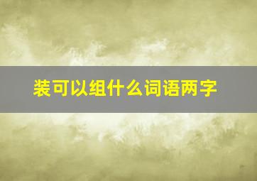 装可以组什么词语两字