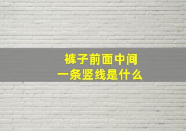 裤子前面中间一条竖线是什么