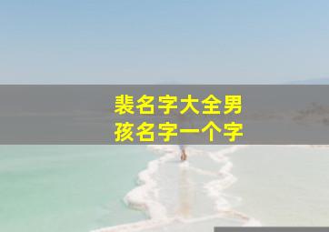 裴名字大全男孩名字一个字