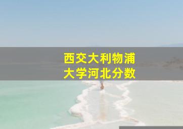 西交大利物浦大学河北分数