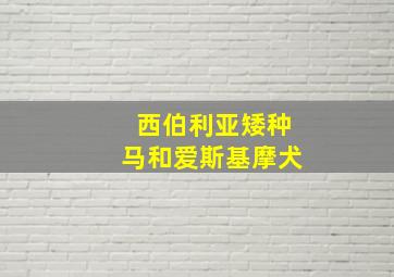 西伯利亚矮种马和爱斯基摩犬