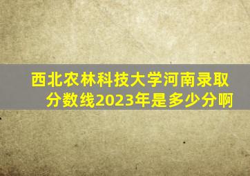 西北农林科技大学河南录取分数线2023年是多少分啊