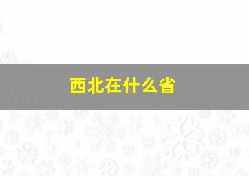 西北在什么省