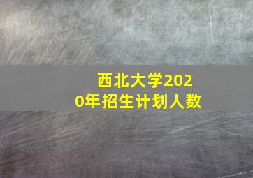 西北大学2020年招生计划人数