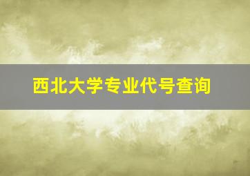 西北大学专业代号查询