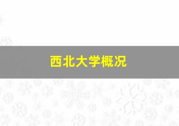 西北大学概况