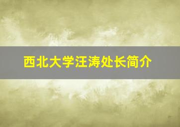 西北大学汪涛处长简介