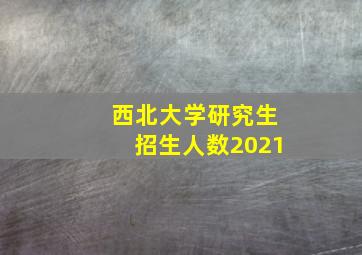 西北大学研究生招生人数2021