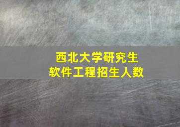 西北大学研究生软件工程招生人数