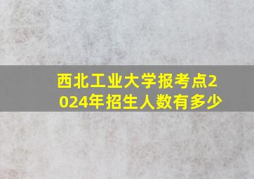 西北工业大学报考点2024年招生人数有多少