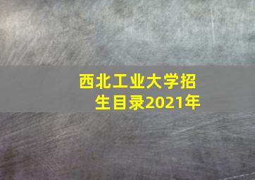 西北工业大学招生目录2021年