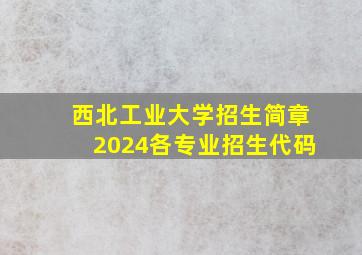 西北工业大学招生简章2024各专业招生代码