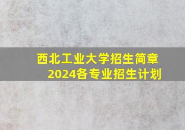 西北工业大学招生简章2024各专业招生计划