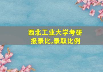 西北工业大学考研报录比,录取比例