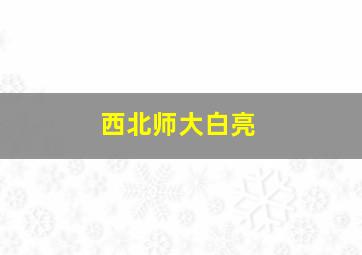 西北师大白亮