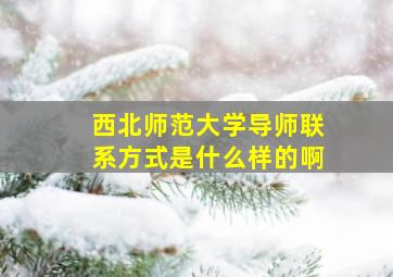 西北师范大学导师联系方式是什么样的啊